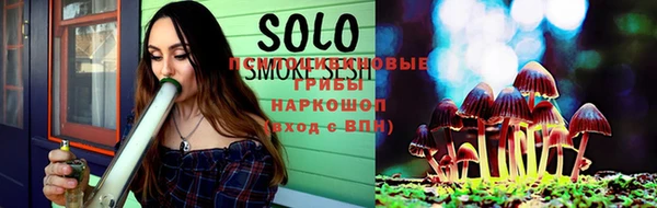 СК Заводоуковск