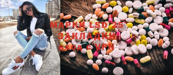 стаф Алексин