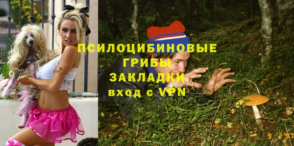 соль ск Алексеевка