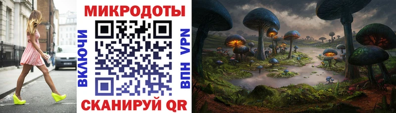 Галлюциногенные грибы Psilocybe  Кудрово 