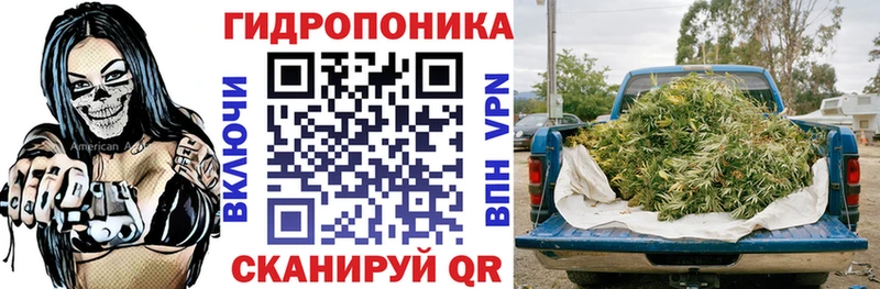 купить наркотики цена  Кудрово  ОМГ ОМГ сайт  Канабис THC 21% 
